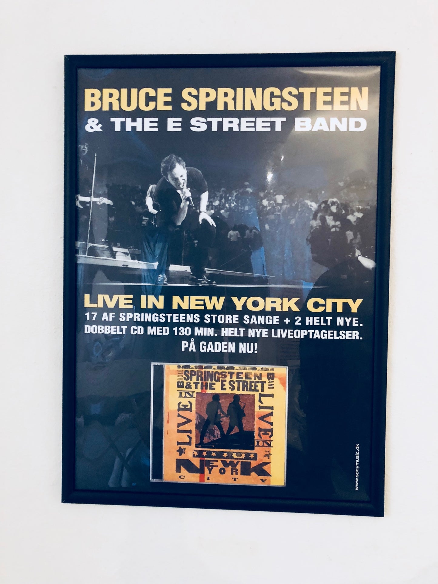Bruce Springsteen - Live in New York - Poster