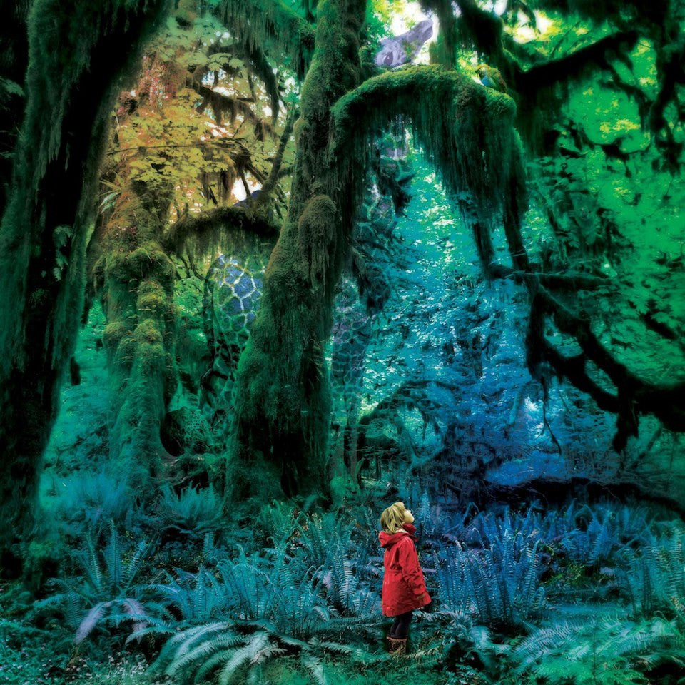 Gardner, Jacco - Cabinet of Curiosities