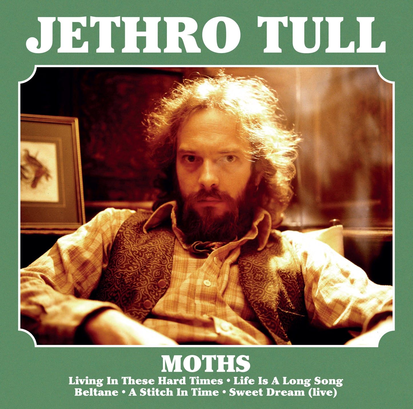 Jethro Tull - Moths
