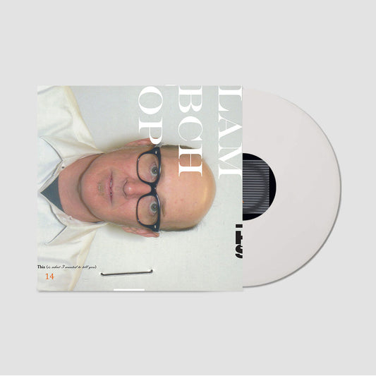 Lambchop - This (Is What I Wanted To Tell You)