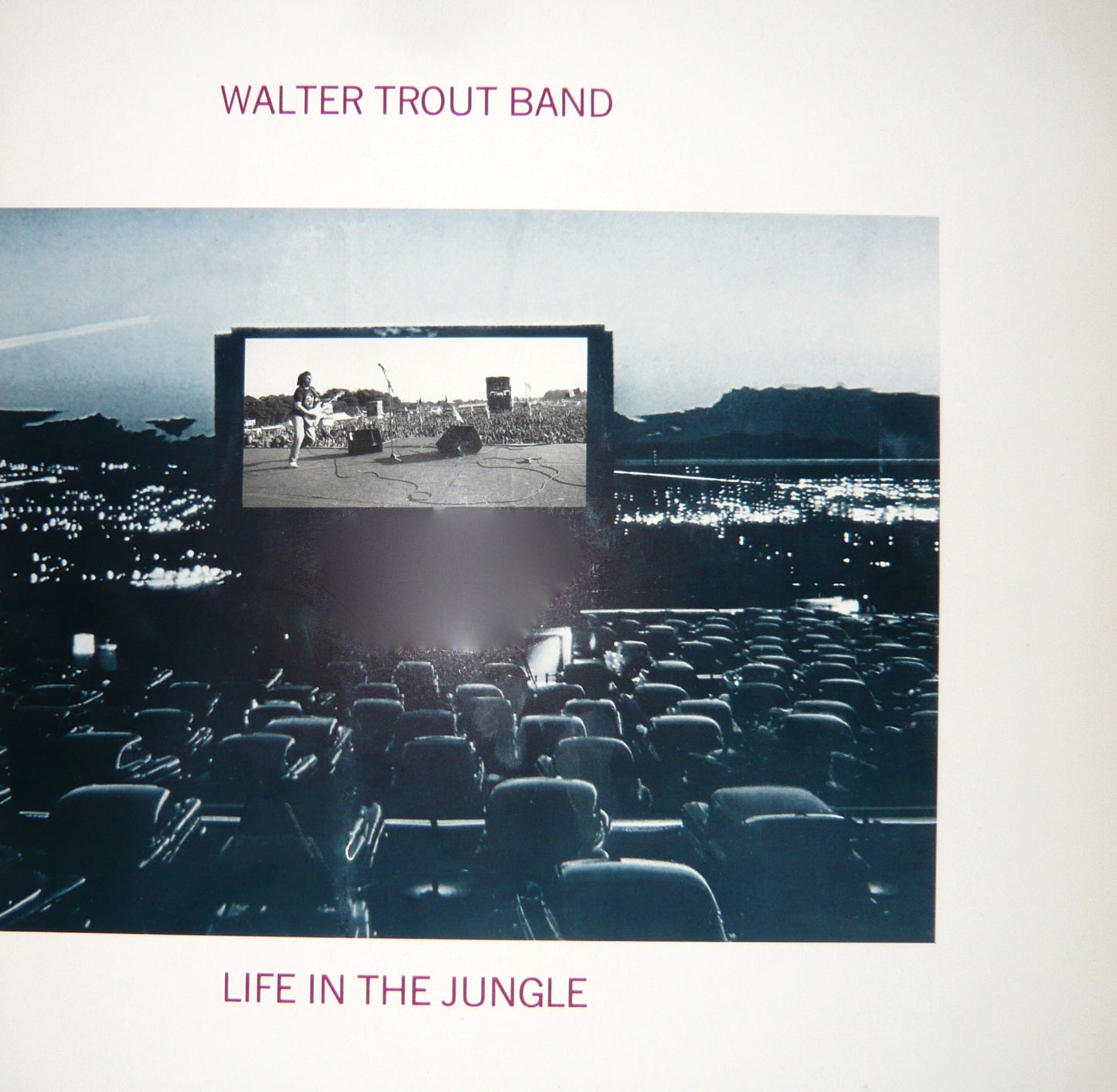 Walter Trout Band - Live In The Jungle