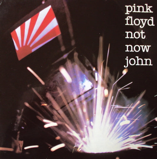 Pink Floyd - Not Now John