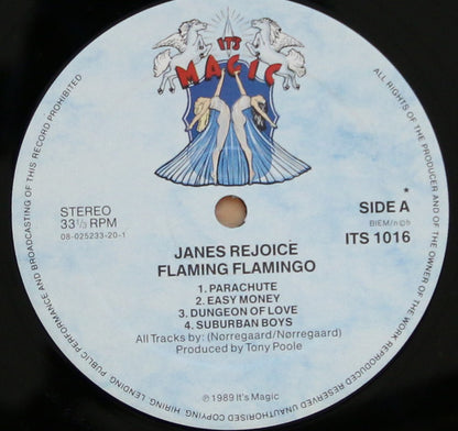 Janes Rejoice ‎– Flaming Flamingo