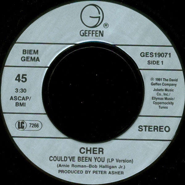 Cher - Could've Been You