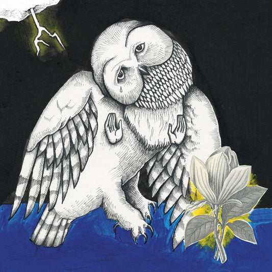 Songs: Ohia - Magnolia Electric Co.