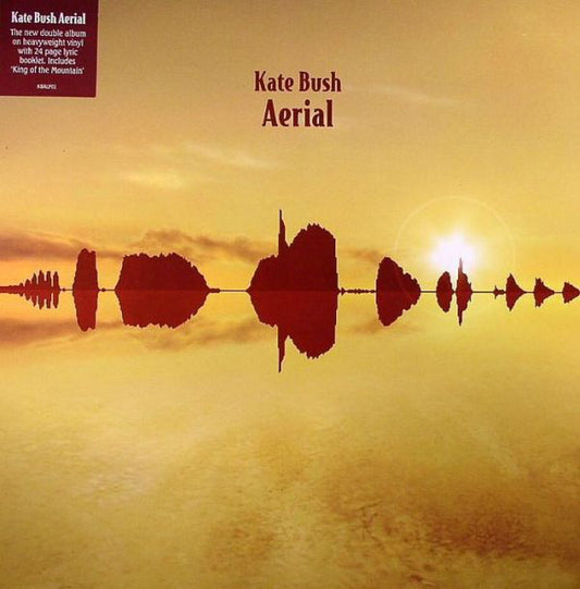 Bush, Kate - Aerial