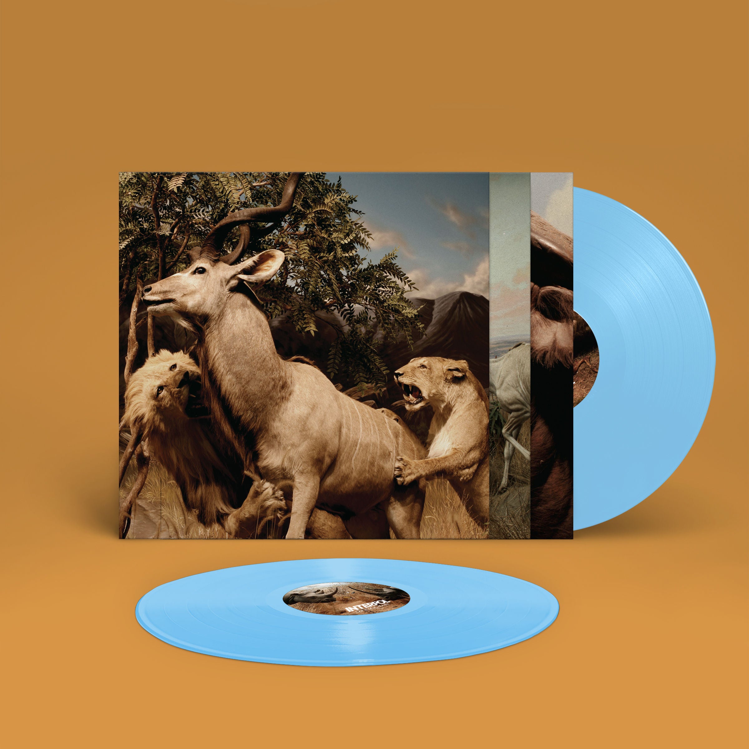 Interpol ‎– Our Love To Admire