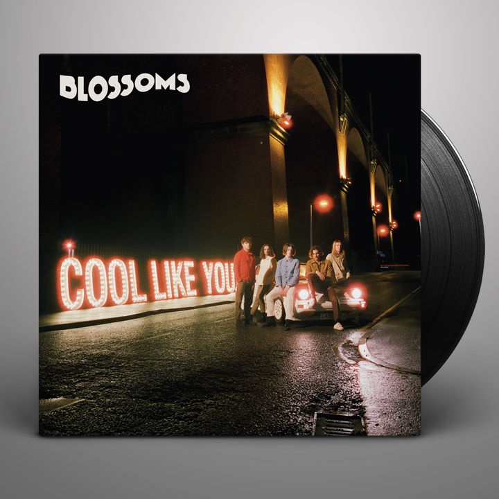 Blossoms ‎– Cool Like You