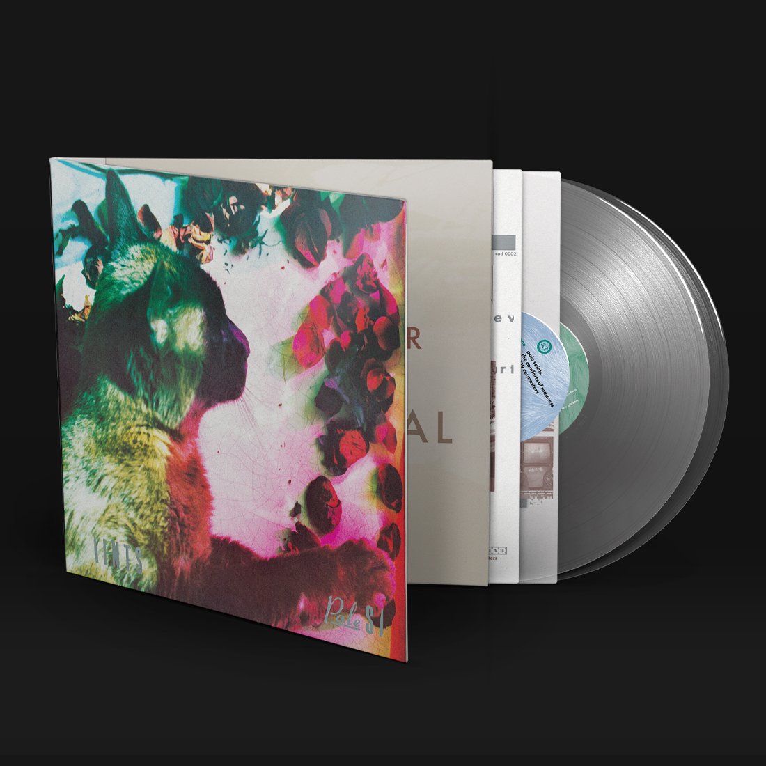 Pale Saints - The Comforts Of Madness