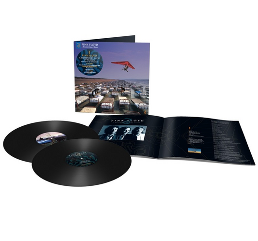 Pink Floyd - A Momentary Lapse Of Reason