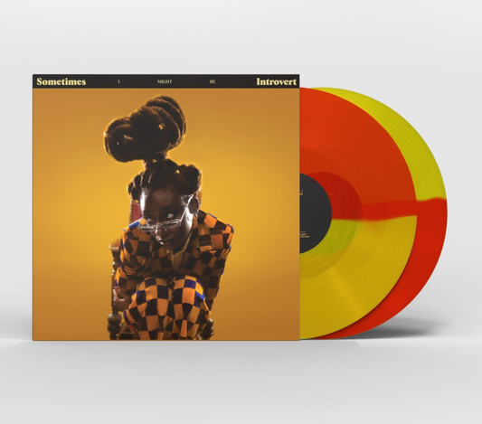 Little Simz - Sometimes I Might Be Introvert