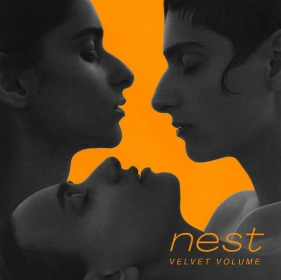Velvet Volume - Nest