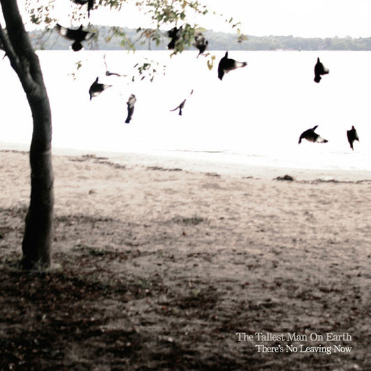 Tallest Man On Earth - There´s No Leaving Now