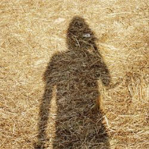 Wilson, Steven - Unreleased Electronic Music