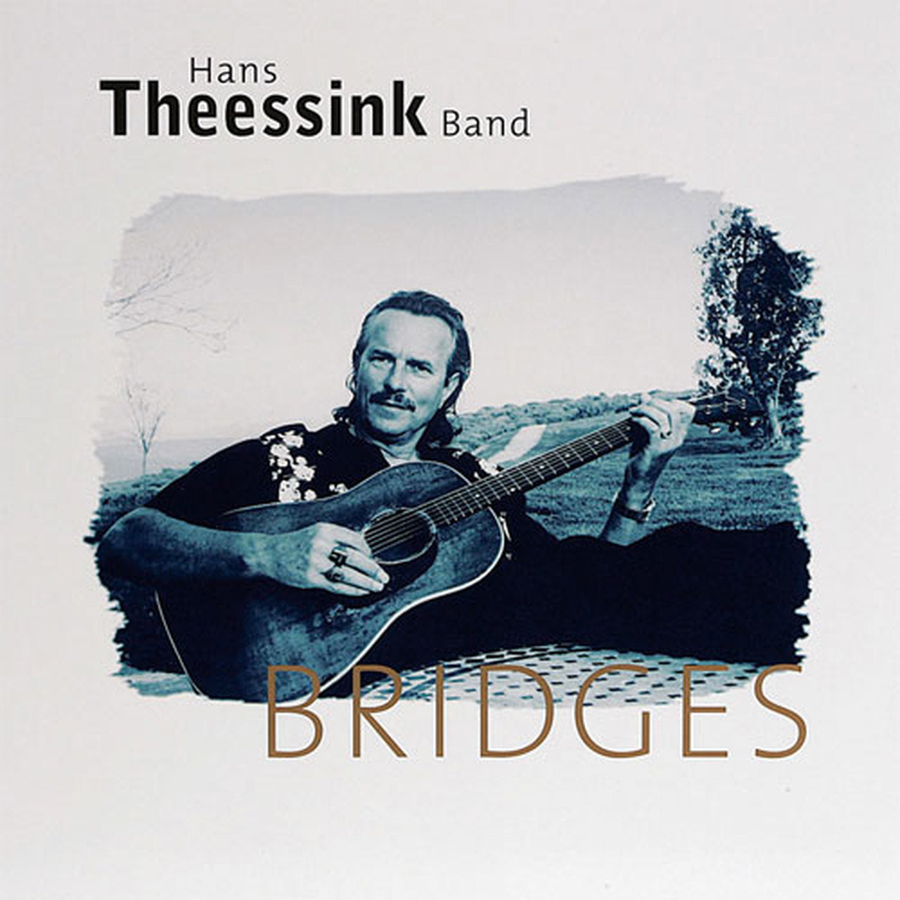 Theessink, Hans - Bridges