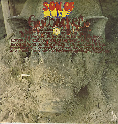 Son Of Gutbucket - Various Artists