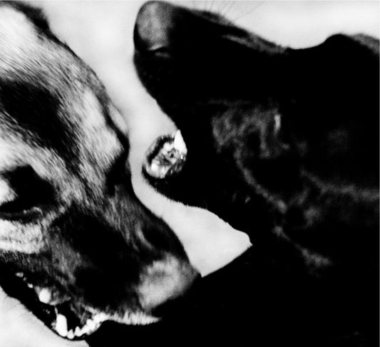 Simpson, Mikael - RMX.