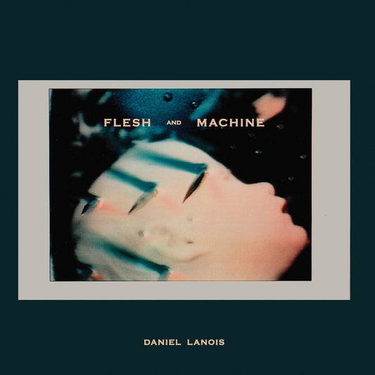 Lanois, Daniel - Flesh And Machine