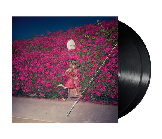Feist - Pleasure