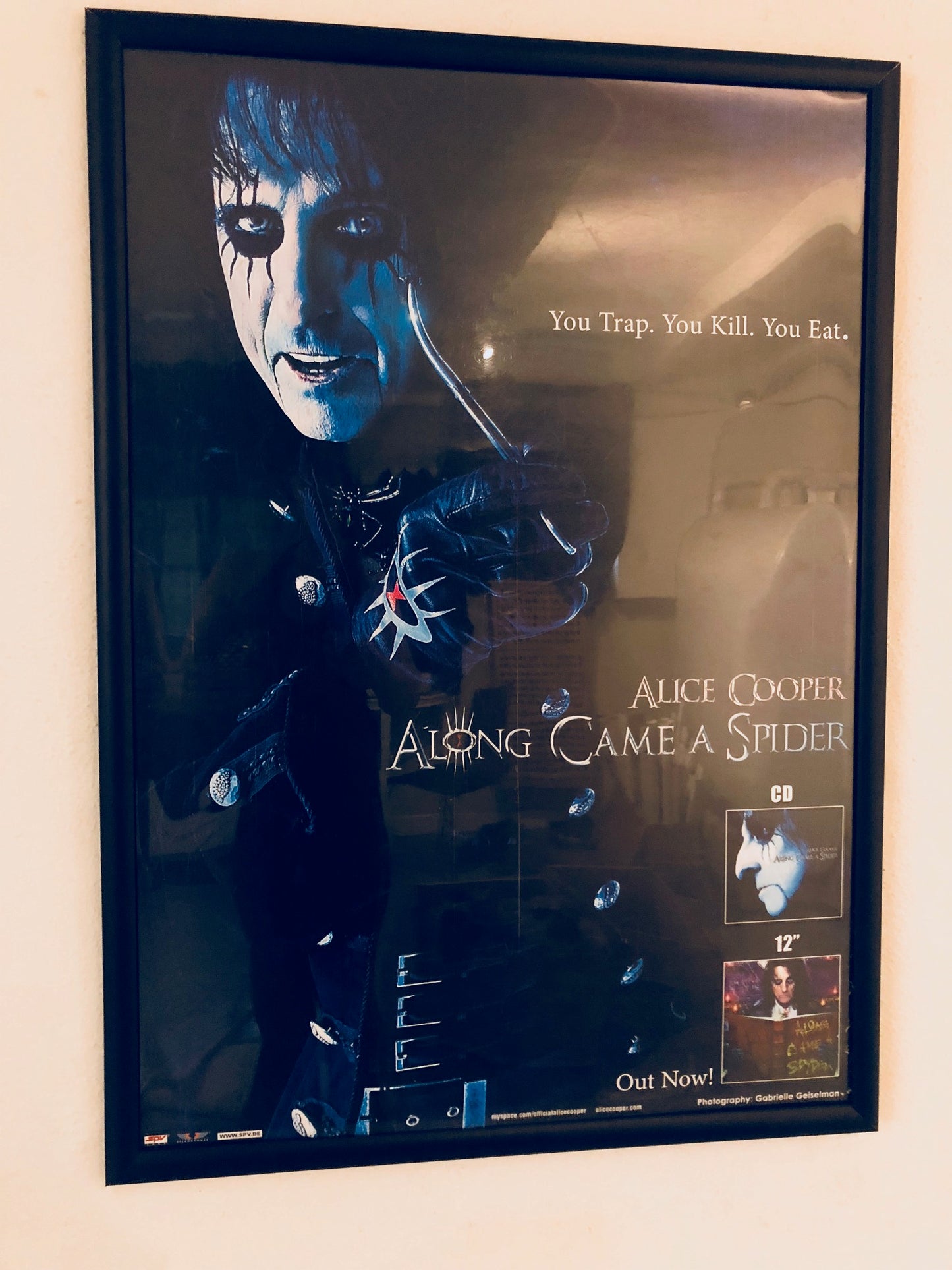 Alice Cooper - Along Came a Spider - Poster