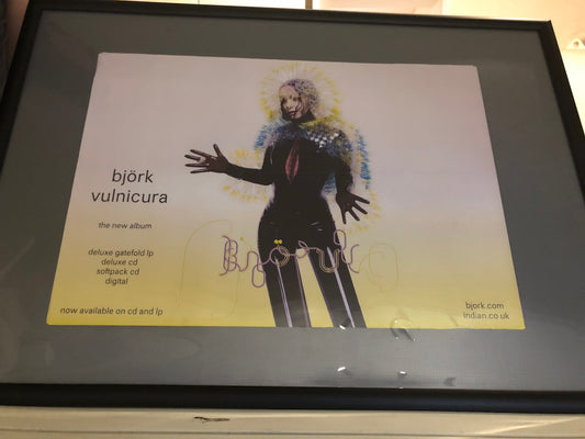 Björk - Vulnicura - Poster