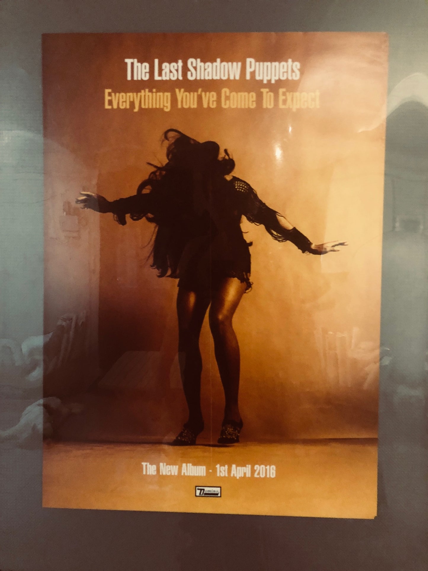 Last Shadow puppets - Everything you’ve come to expect  - Poster