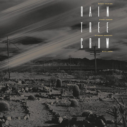 Rain Tree Crow ‎– Rain Tree Crow