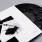 Soulwax - From Deewee